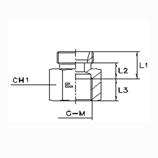 Aufschraubverschraubung metrisch GAI15LM OMD